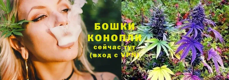 Конопля White Widow  Выкса 